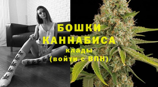 ПСИЛОЦИБИНОВЫЕ ГРИБЫ Лихославль