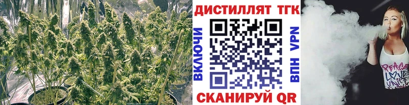 где найти наркотики  Новомосковск  ТГК вейп 