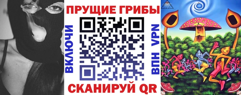 mega как войти  Новомосковск  Псилоцибиновые грибы мицелий  купить  