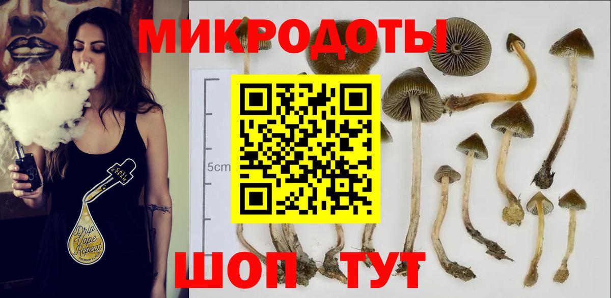 Новомосковск  Галлюциногенные грибы прущие грибы  Вход с VPN 